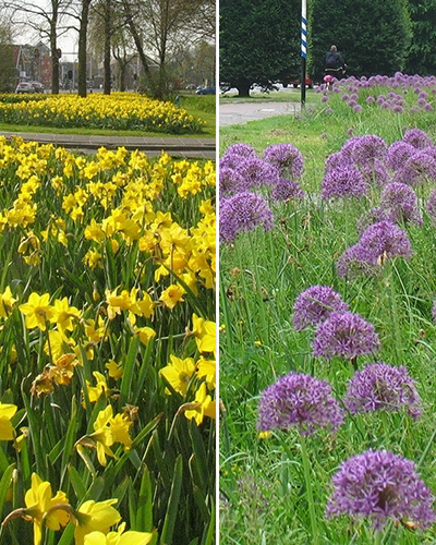 Eindhoven - 2 phases.jpg